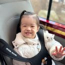 키즈아이조아어린이집 | 우리 아이 첫 키즈카페 체험기 어린이집 소풍으로 다녀온 솔직 후기