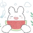 슈나애견미용 네이버블로그
