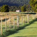 블루렌트카 이미지