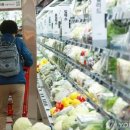 새벽식품 이미지