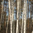 감성 마크라메&라탄공예 이미지