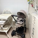 (주)지이오 | 👶🏻 31주 일상(정기검진/Egg2유모차/고기리맛집/산전마사지/또 토덧..?/어머님생신❤)