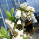 일꾼농장 이미지