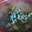 별미올갱이 이미지