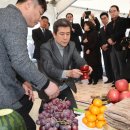 흥해체육관 이미지