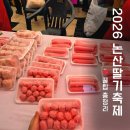 첨단체육공원(운동장) | 논산 딸기축제 2026 가수,헬기, 주차 꿀팁까지