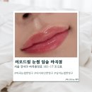미모드림 | [마곡] 마곡눈썹반영구 미모드림 눈썹 마곡점 솔직후기