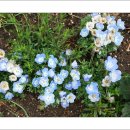 대한 성공회 서울주교좌성당 정원과 양이재 . 이미지