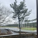 나인브릿지 스크린골프연습장 이미지