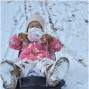 한울타리어린이집 이미지