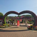 비너스뮤직 | [2026 울산대공원 장미축제] 일정, 요금, 가수 라인업(로이킴, 허각, 차지연 등) 총정리!