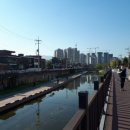 날라리타운 이미지