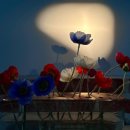 이선생댁 이미지