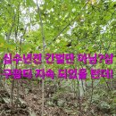 빵구네 이미지