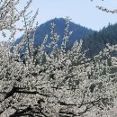 송전마을 이미지