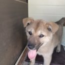 상신하길로 이미지