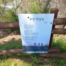 산소길(파도소리풍경길) 이미지