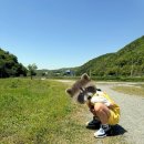 길업 | 용인 처인구 차크닉 길업습지 주말 방문 후기