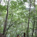 울진군온정면선구보건진료소 | <울진여행> 신선계곡, 신선들의 놀이터에서 사람의 놀이터로