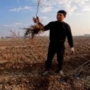 우림농원 이미지