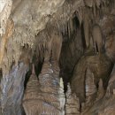 산호동509 이미지