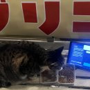 상수전철역 3번출구 | 상수역 오뎅바 ‘슌노오뎅’ 내돈내산 후기｜메뉴·웨이팅·가격 총정리