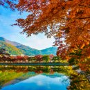 여명로25번길 이미지