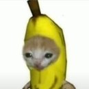해피캣 이미지