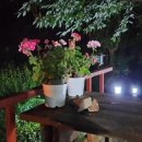 자연생활의집청도 이미지