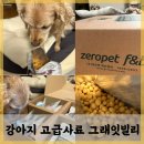 기호성좋은 강아지 고급다이어트사료 그래잇빌리 후기 (feat. 사료샘플신청, 김준수, 진세연 등 연예인...