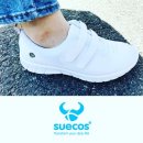 엘리스(Elis) 이미지