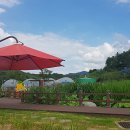 과일나라테마공원3 이미지