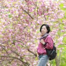 합도초교 이미지