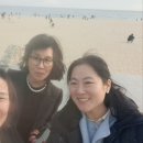 영남지방자치연구원 네이버블로그