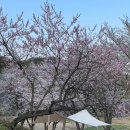 용인반딧불캠핑장 이미지