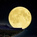 주식회사 소망사랑