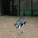 성미세탁 | 일상기록: 덥고 찌고 비 많이 오는날들의 일기