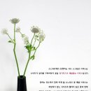 서브힐링 이미지