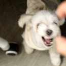 돌담캠핑장 이미지