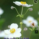 토요일 이미지