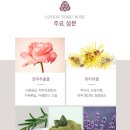 로즈레 이미지