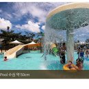 제이스낵 네이버블로그