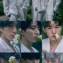 비봄