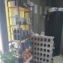 리호헤어