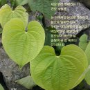 귀참예쁘다