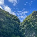 나무그늘 밑의 휴식 | 끄라비 여행 홍섬투어 끄라비스토리 내돈내산 강추 후기