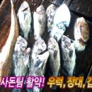 달빛좌대 이미지