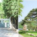 금란자연 이미지