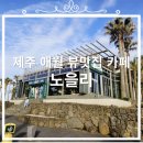 저녘노을 | [노을리]내돈내산, 제주 애월 노을 맛집 식물원카페 애월오션뷰 카페 솔직후기!!