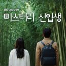 미스터리